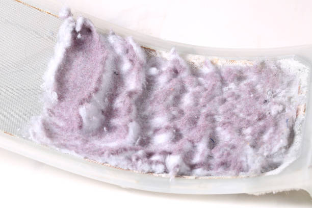 Lint collected from a dryer vent